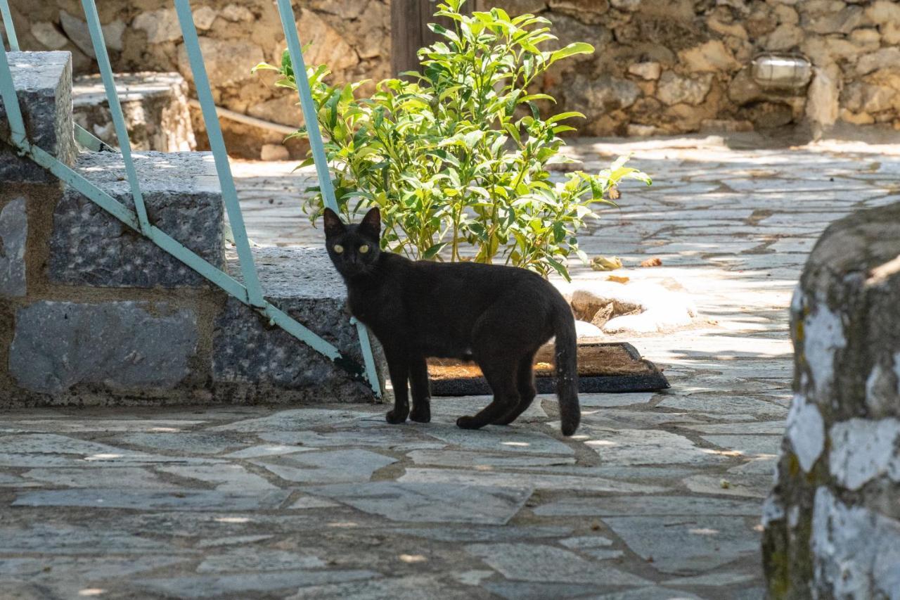 Tranquil Stone Garden House Villa Kalos Bagian luar foto